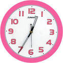 Camel clocks